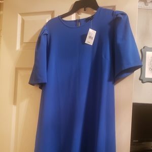 Felicity & Coco blue shift dress, Large
